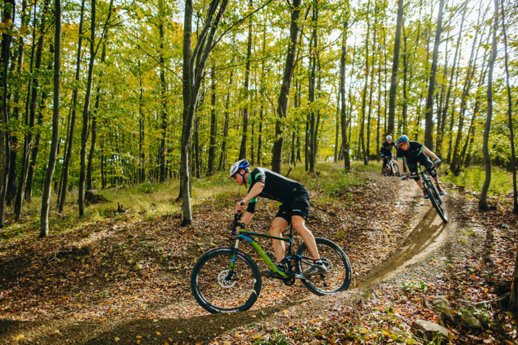 Three cyclists riding a single trail in the forest between green trees